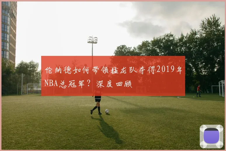 伦纳德如何带领猛龙队夺得2019年NBA总冠军?深度回顾