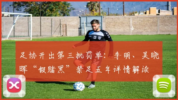 足协开出第三批罚单:李明、吴晓晖“假赌黑”禁足五年详情解读